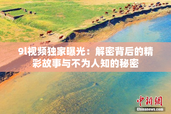 9l视频独家曝光：解密背后的精彩故事与不为人知的秘密