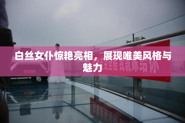 白丝女仆惊艳亮相，展现唯美风格与魅力