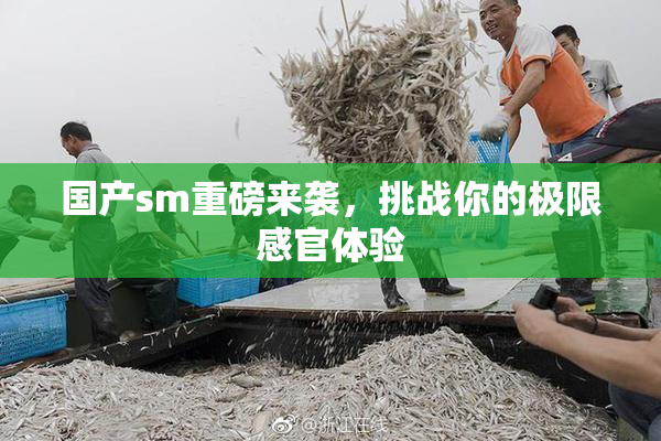 国产sm重磅来袭，挑战你的极限感官体验