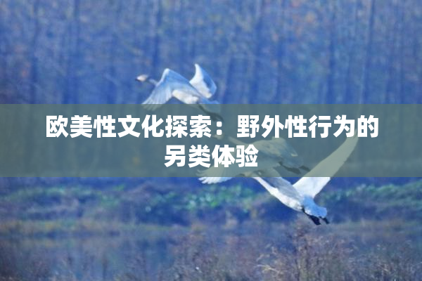 欧美性文化探索：野外性行为的另类体验