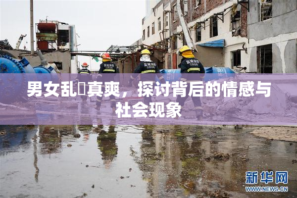 男女乱婬真爽，探讨背后的情感与社会现象