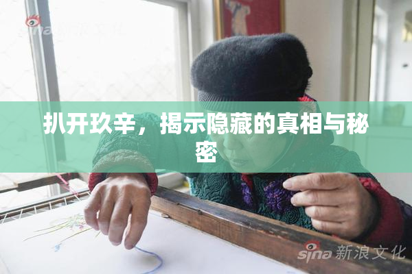 扒开玖辛，揭示隐藏的真相与秘密