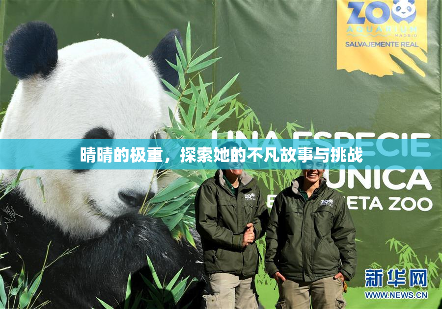 晴晴的极重，探索她的不凡故事与挑战