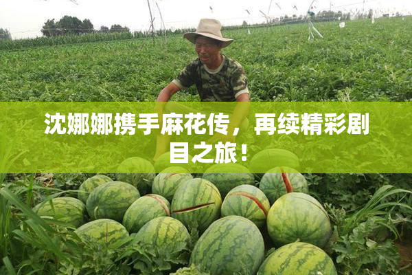 沈娜娜携手麻花传，再续精彩剧目之旅！