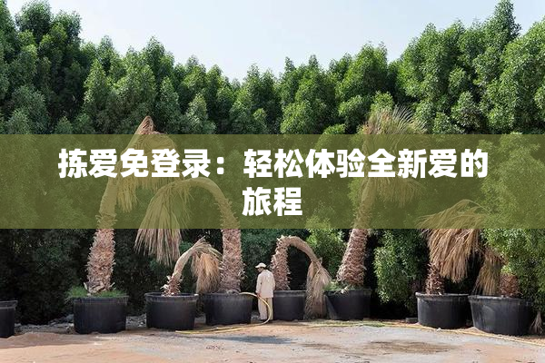 拣爱免登录：轻松体验全新爱的旅程