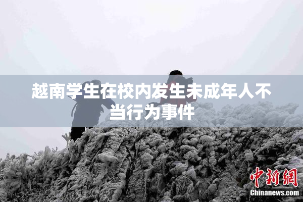 越南学生在校内发生未成年人不当行为事件