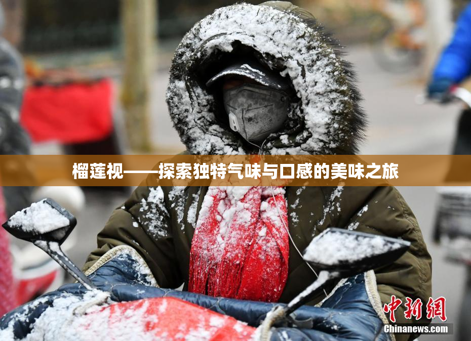 榴莲视——探索独特气味与口感的美味之旅