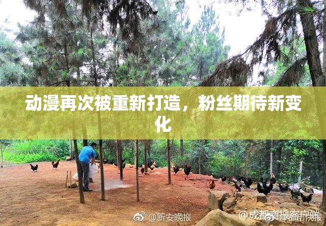 动漫再次被重新打造，粉丝期待新变化