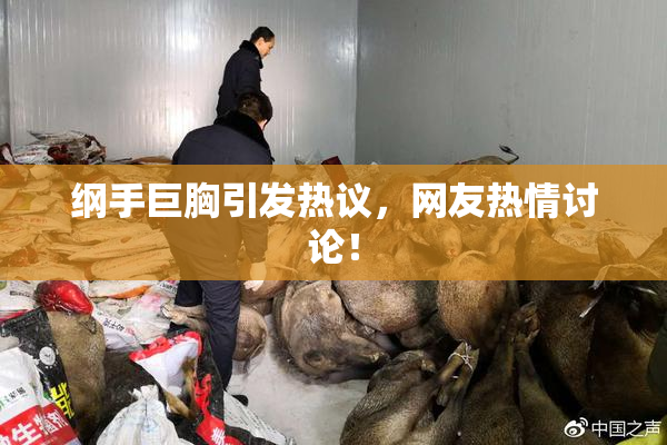 纲手巨胸引发热议，网友热情讨论！