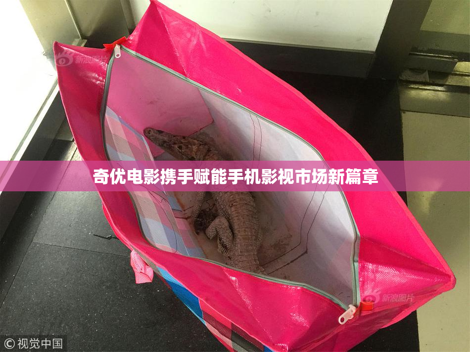 奇优电影携手赋能手机影视市场新篇章