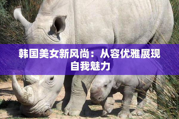 韩国美女新风尚：从容优雅展现自我魅力