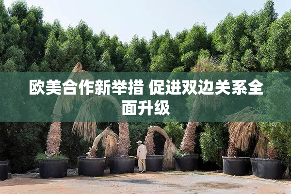 欧美合作新举措 促进双边关系全面升级