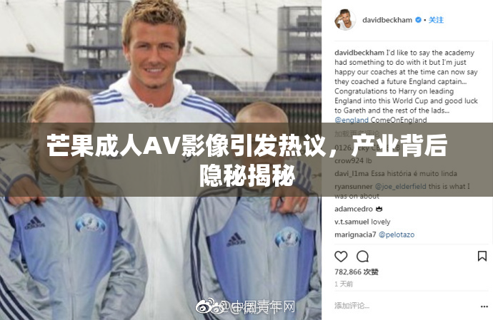 芒果成人AV影像引发热议，产业背后隐秘揭秘
