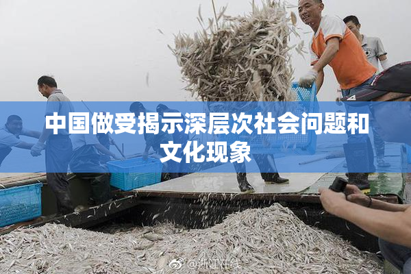 中国做受揭示深层次社会问题和文化现象