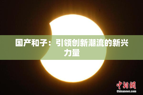 国产和子：引领创新潮流的新兴力量