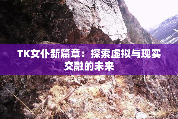 TK女仆新篇章：探索虚拟与现实交融的未来