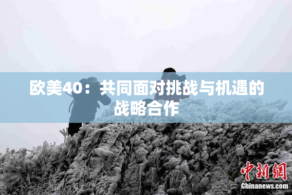 欧美40：共同面对挑战与机遇的战略合作