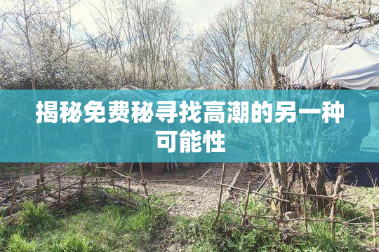 揭秘免费秘寻找高潮的另一种可能性