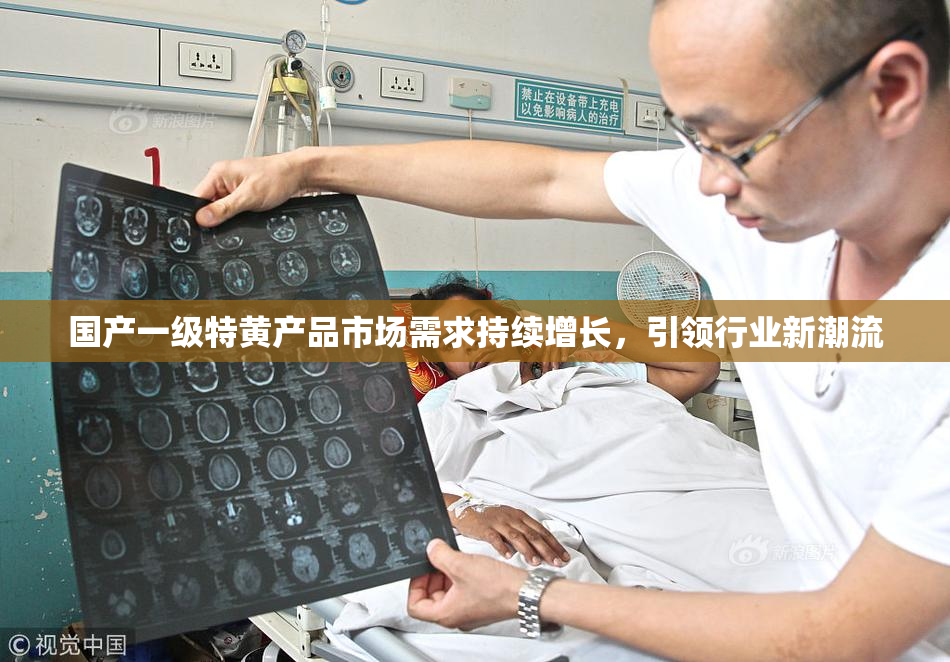 国产一级特黄产品市场需求持续增长，引领行业新潮流