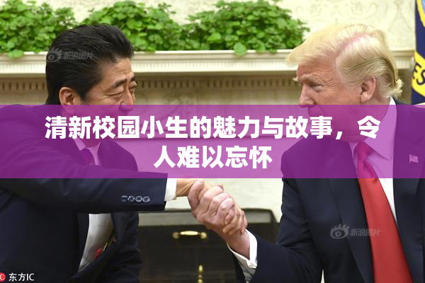 清新校园小生的魅力与故事，令人难以忘怀