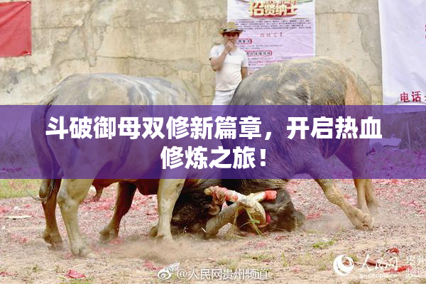 斗破御母双修新篇章，开启热血修炼之旅！
