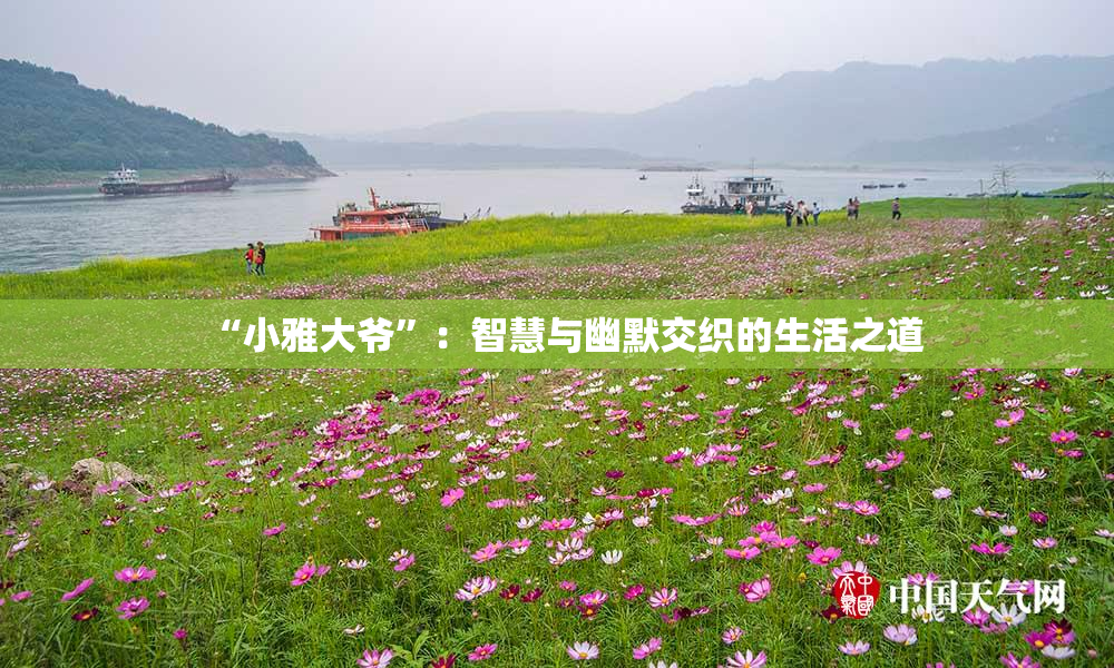 “小雅大爷”：智慧与幽默交织的生活之道