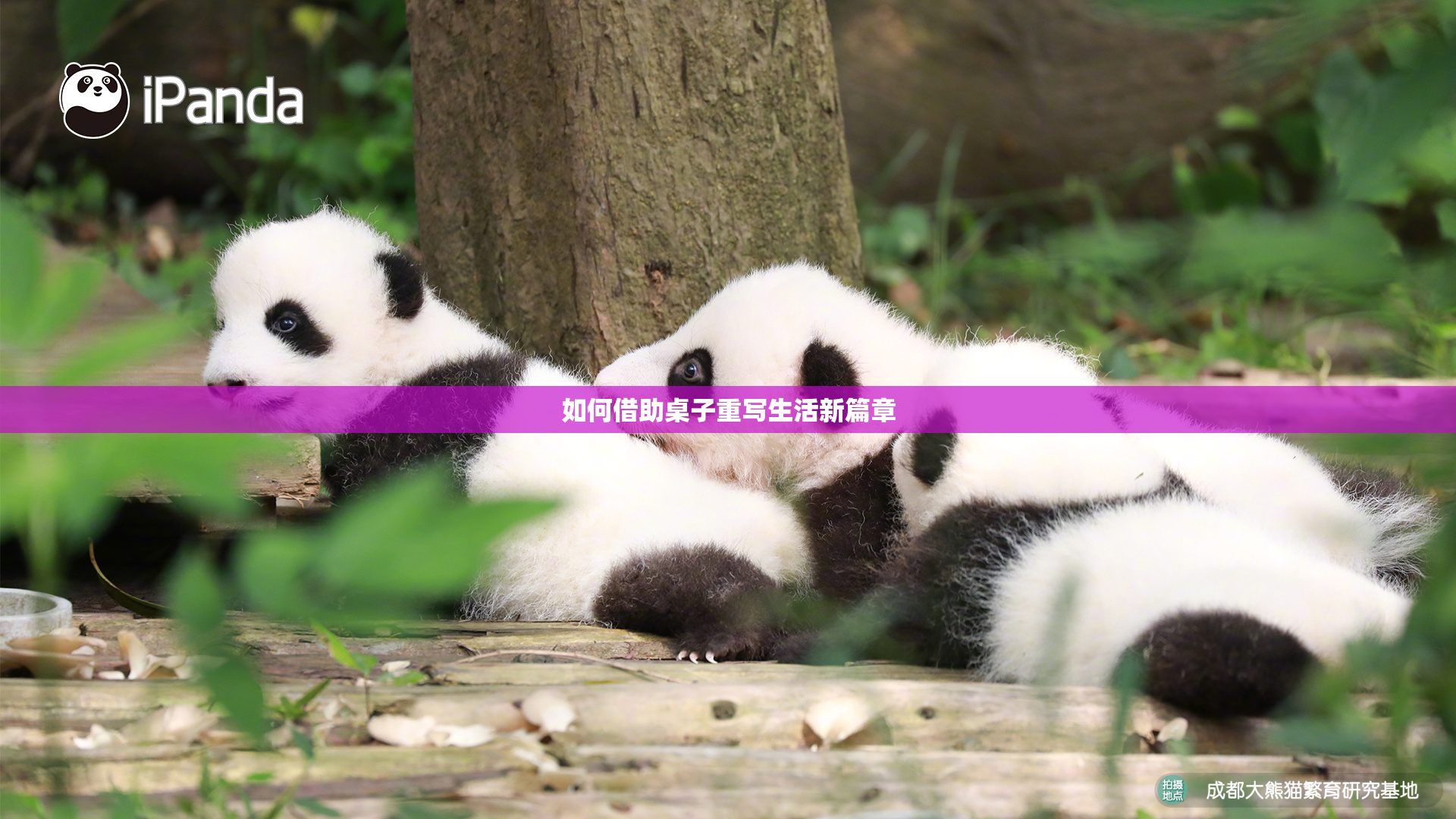 如何借助桌子重写生活新篇章