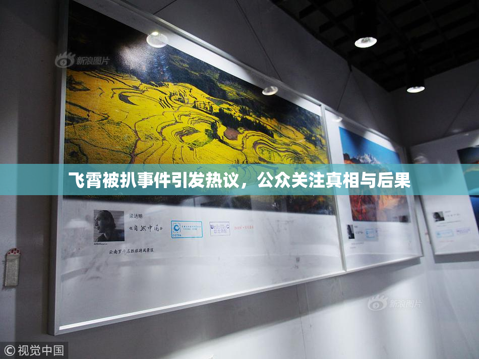 飞霄被扒事件引发热议，公众关注真相与后果