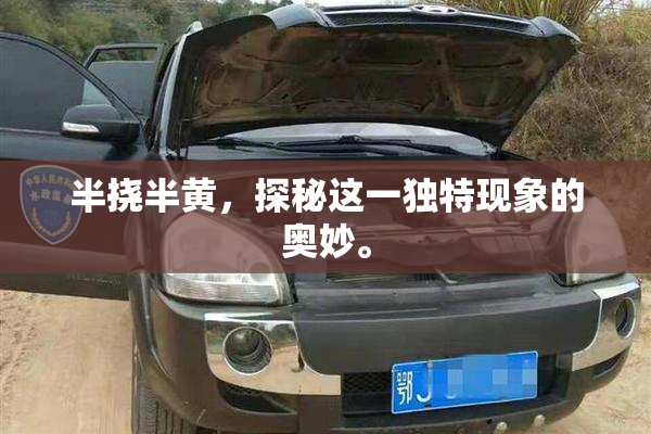 半挠半黄，探秘这一独特现象的奥妙。