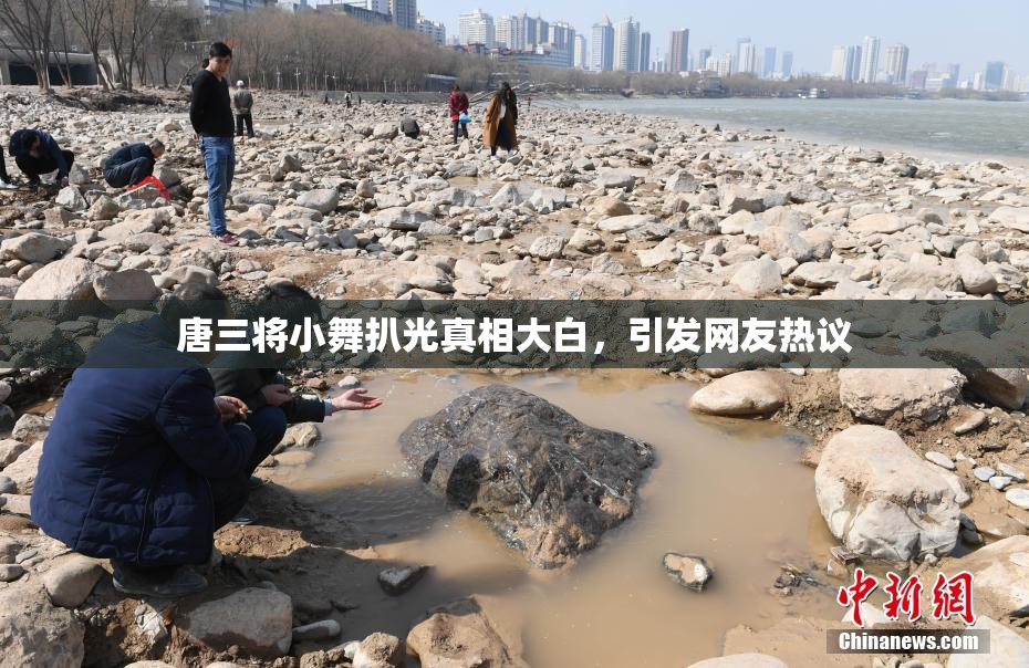 唐三将小舞扒光真相大白，引发网友热议