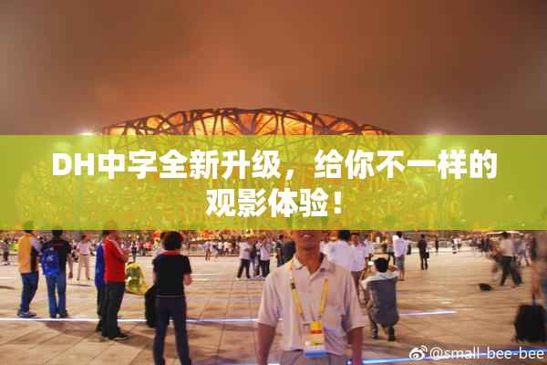 DH中字全新升级，给你不一样的观影体验！