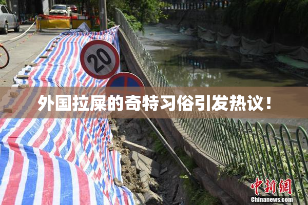 外国拉屎的奇特习俗引发热议！