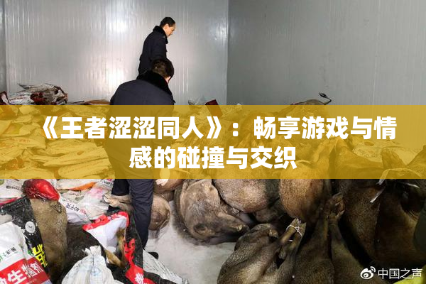 《王者涩涩同人》：畅享游戏与情感的碰撞与交织