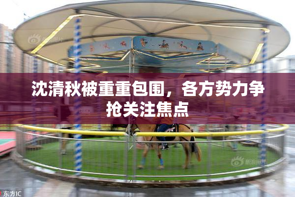 沈清秋被重重包围，各方势力争抢关注焦点