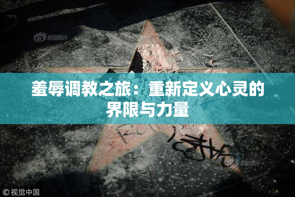 羞辱调教之旅：重新定义心灵的界限与力量