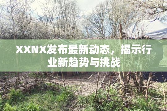 XXNX发布最新动态，揭示行业新趋势与挑战