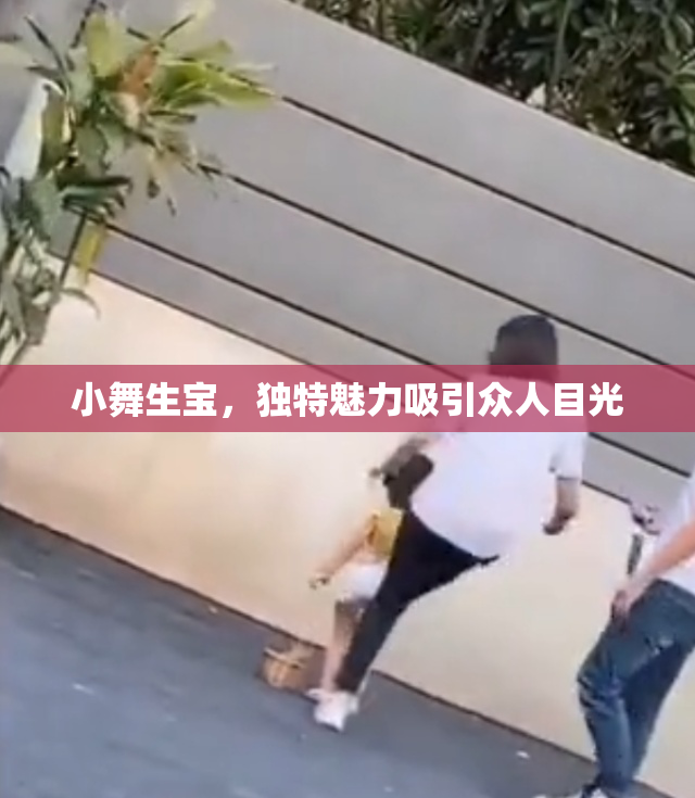小舞生宝，独特魅力吸引众人目光