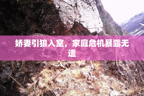 娇妻引狼入室，家庭危机暴露无遗