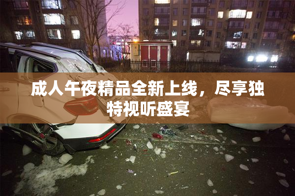 成人午夜精品全新上线，尽享独特视听盛宴