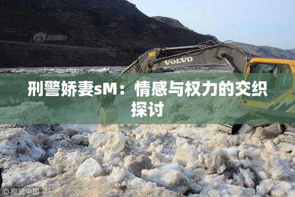 刑警娇妻sM：情感与权力的交织探讨