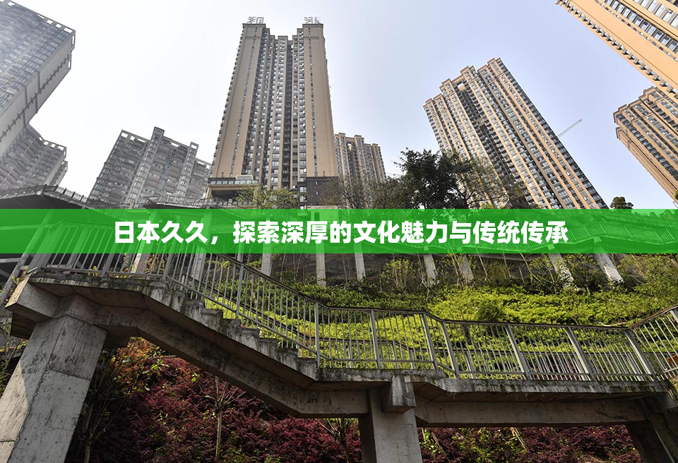 日本久久，探索深厚的文化魅力与传统传承