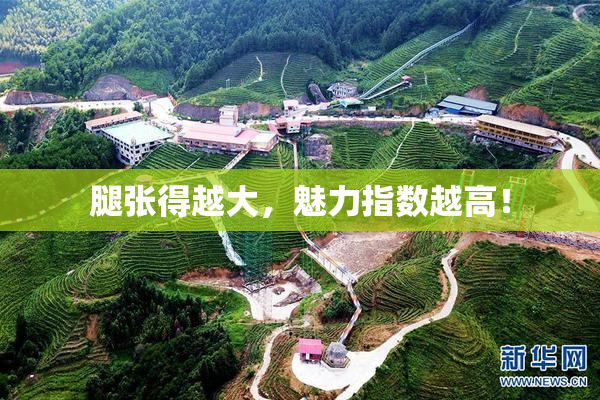 腿张得越大，魅力指数越高！