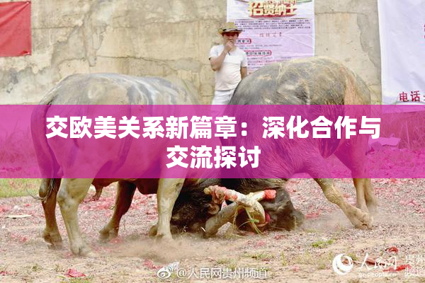 交欧美关系新篇章：深化合作与交流探讨