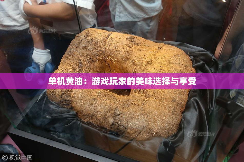 单机黄油：游戏玩家的美味选择与享受