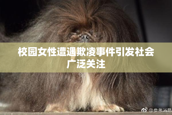 校园女性遭遇欺凌事件引发社会广泛关注