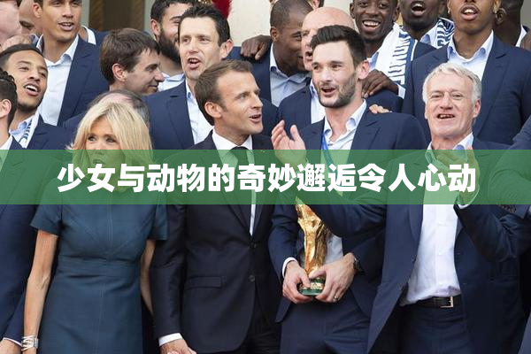 少女与动物的奇妙邂逅令人心动