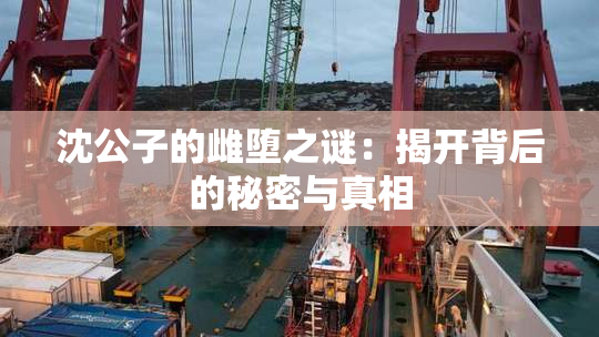 沈公子的雌堕之谜：揭开背后的秘密与真相