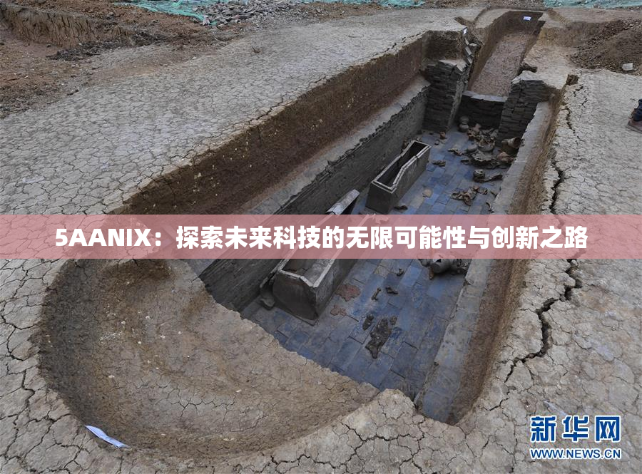 5AANIX：探索未来科技的无限可能性与创新之路