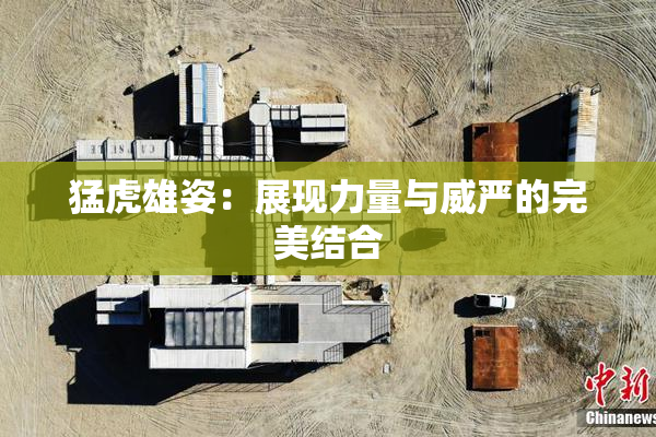 猛虎雄姿：展现力量与威严的完美结合