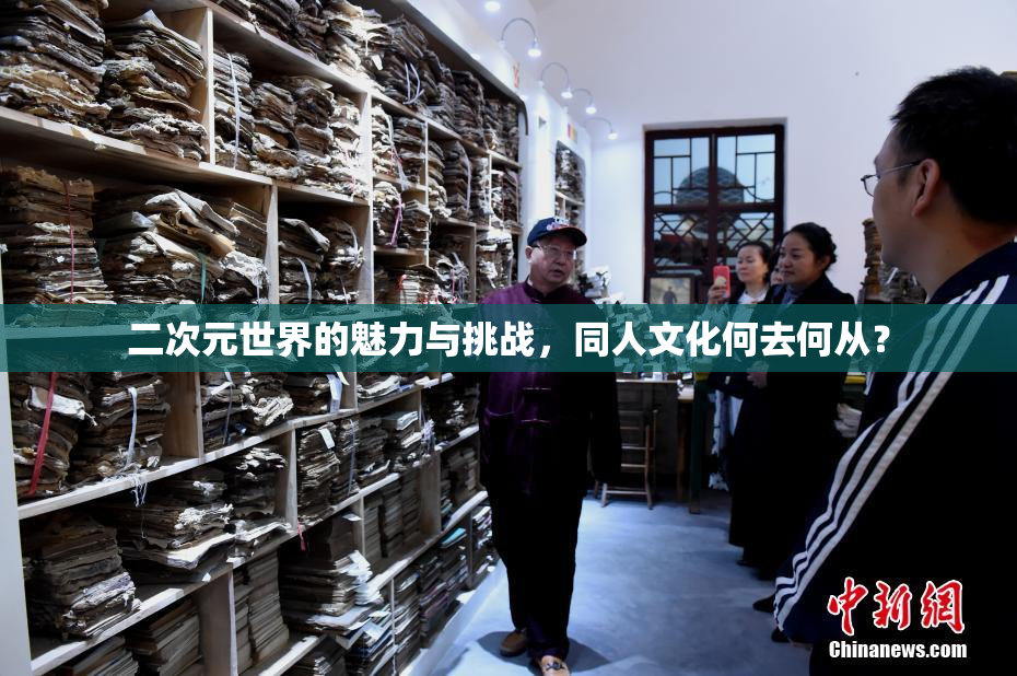 二次元世界的魅力与挑战，同人文化何去何从？